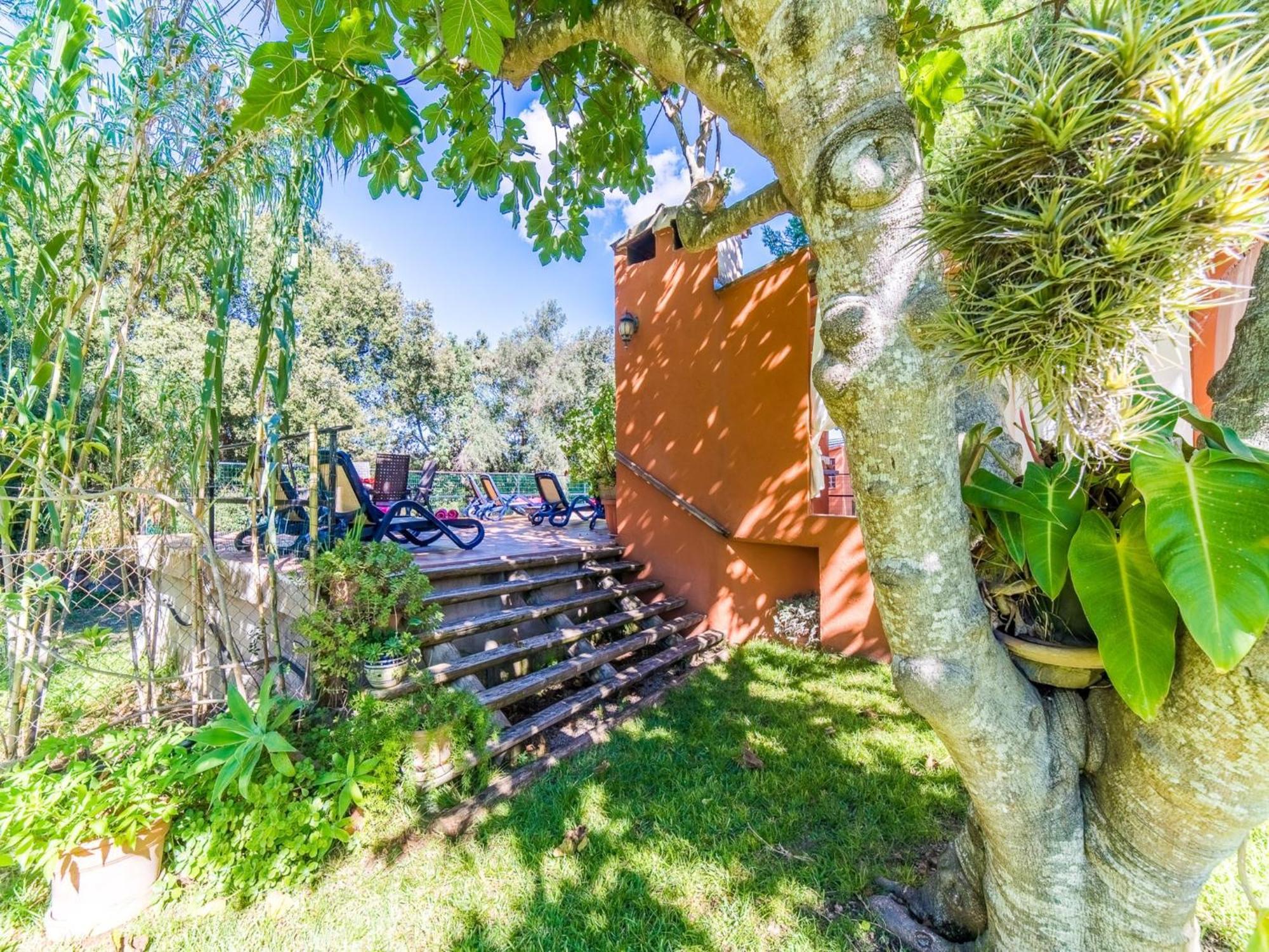 Finca In Mallorca With Private Pool Búger Buitenkant foto
